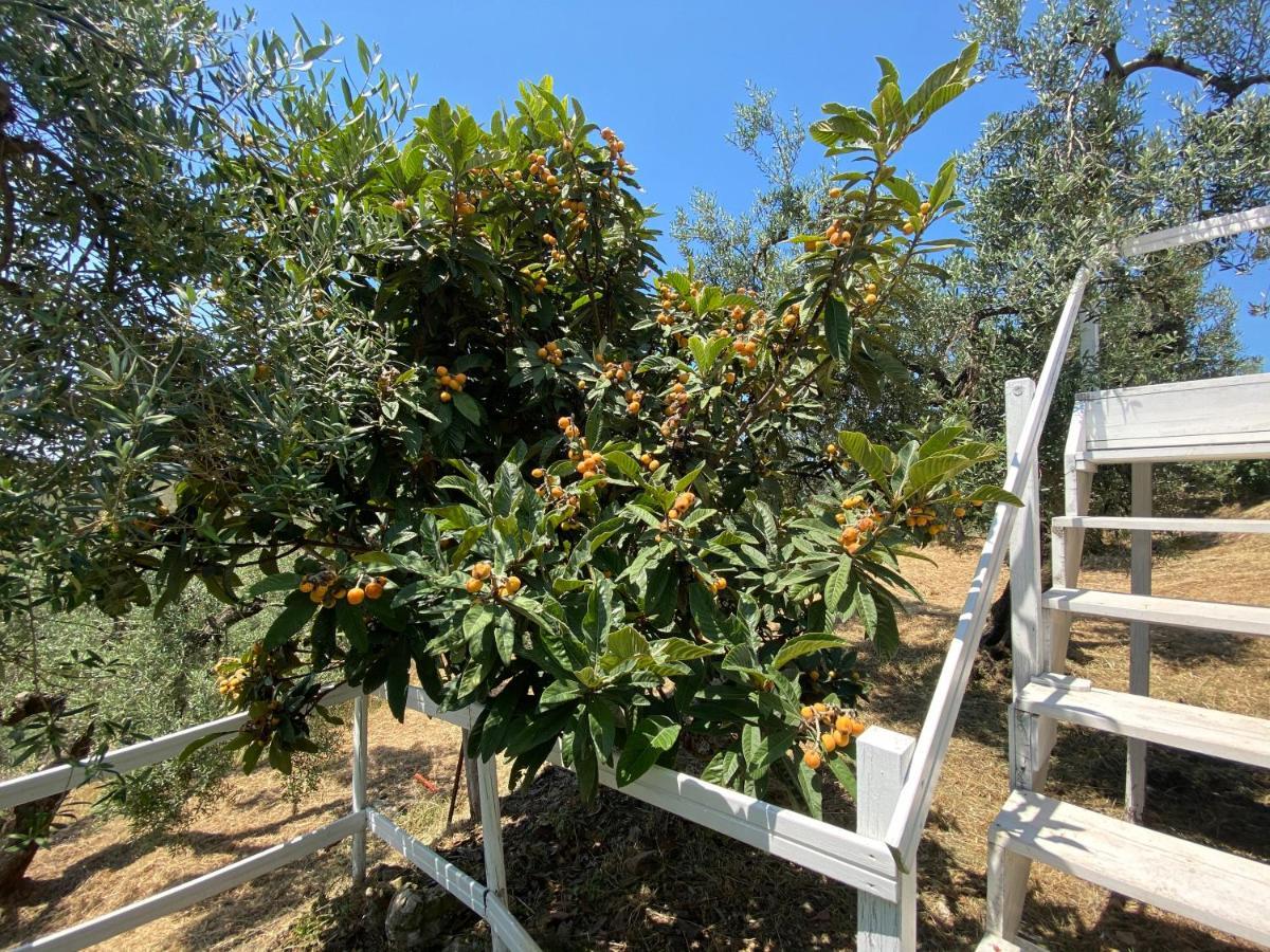 فيلا I Giardini Di Margius إيتري المظهر الخارجي الصورة
